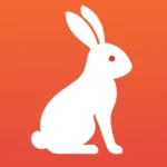 cropped favicon Cardizoom